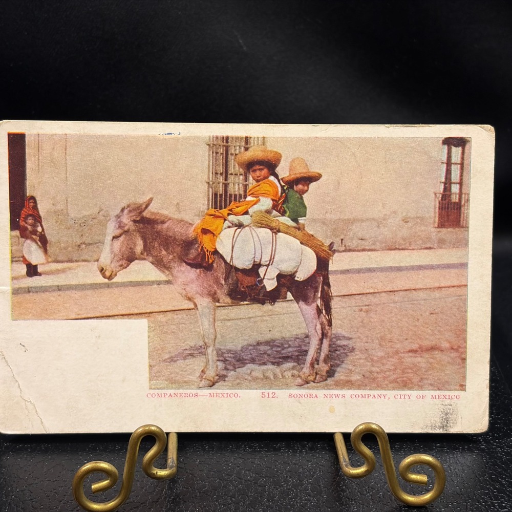 Sonora News Co 512 Companeros Mexico Undivided Back Postcard 1905 City of Mexico